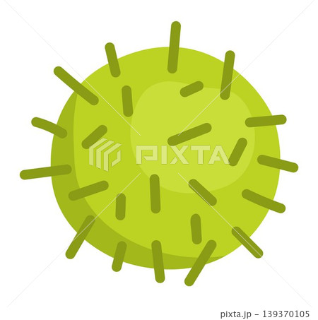 Chestnut fruit or seed with green spiky burrs. Forest tree flat cartoon illustration. Woodland plant clipart. Botanical icon isolated on white background 139370105