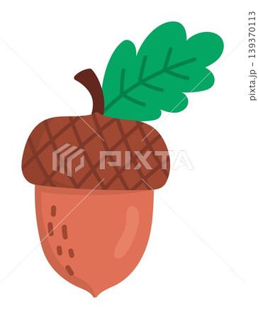 Vector cartoon acorn with leaf clipart. Woodland, forest or garden acorn tree fruit icon isolated on white background. Forest nature illustration. Autumn or fall harvest Vector cartoon acorn with leaf clipart. Woodland, forest or garden acorn tree fruit icon isolated on white background. Forest nature illustration. Autumn or fall harvest 139370113