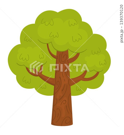 Vector cartoon green tree icon isolated on white background. Garden, forest, woodland plant with trunk and leaves. Flat spring, farm nature illustration. Natural greenery picture Vector cartoon green tree icon isolated on white background. Garden, forest, woodland plant with trunk and leaves. Flat spring, farm nature illustration. Natural greenery picture 139370120