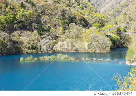 奥四万湖の水中林 奥四万湖の水中林 139370474