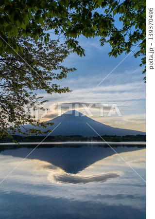 夜明けの田貫湖に映る富士山と空に浮かぶ雲 夜明けの田貫湖に映る富士山と空に浮かぶ雲 139370496