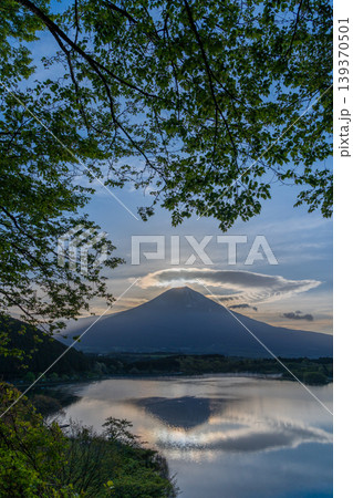 夜明けの田貫湖に映る富士山と空に浮かぶ雲 139370501