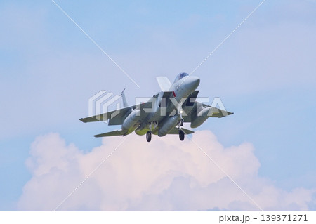 着陸態勢の第201飛行隊のF-15J 着陸態勢の第201飛行隊のF-15J 139371271