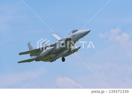 着陸態勢の第201飛行隊のF-15J 着陸態勢の第201飛行隊のF-15J 139371330