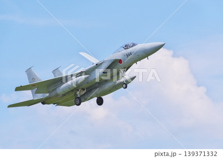 着陸態勢の第201飛行隊のF-15J 着陸態勢の第201飛行隊のF-15J 139371332