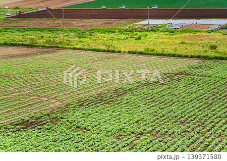 農業 畑 農地 俯瞰 風景 日本 作物 畝 パターン 農村 景観 田舎 農業 畑 農地 俯瞰 風景 日本 作物 畝 パターン 農村 景観 田舎 139371580