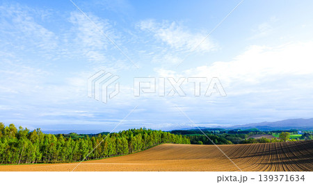初夏の爽やかな青空と少し斜陽になった北海道美瑛町周辺の風景 139371634