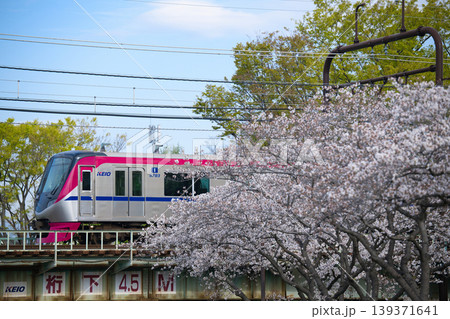 京王 5000系 京王 5000系 139371641