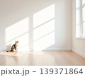 光と影のミニマル空間と小さな猫 139371864