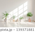 植物が並ぶミニマル空間と自然光の室内背景 139371881