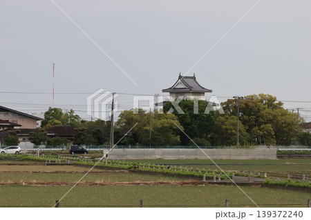 騎西城の見える風景 139372240
