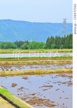 当間高原の麓の棚田 新緑の田舎風景 新潟県十日町市 当間高原の麓の棚田 新緑の田舎風景 新潟県十日町市 139372562