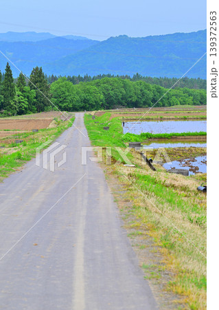 当間高原の麓の棚田 新緑の田舎風景 新潟県十日町市 当間高原の麓の棚田 新緑の田舎風景 新潟県十日町市 139372563