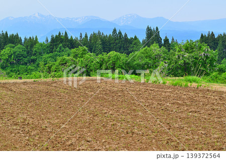 当間高原の麓　新緑の田舎風景　新潟県十日町市　　　 139372564