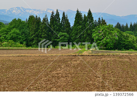 当間高原の麓 新緑の田舎風景 新潟県十日町市 当間高原の麓 新緑の田舎風景 新潟県十日町市 139372566