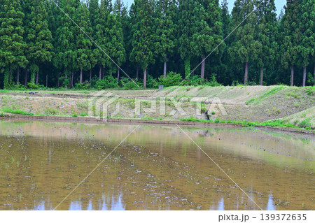 当間高原の麓の棚田 新緑の田舎風景 新潟県十日町市 当間高原の麓の棚田 新緑の田舎風景 新潟県十日町市 139372635
