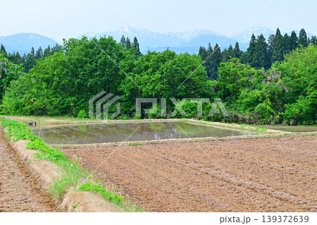 当間高原の麓の棚田 新緑の田舎風景 新潟県十日町市 当間高原の麓の棚田 新緑の田舎風景 新潟県十日町市 139372639