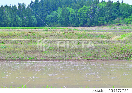 当間高原の麓の棚田 新緑 田植え時 新潟県十日町市 当間高原の麓の棚田 新緑 田植え時 新潟県十日町市 139372722