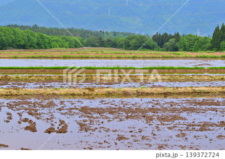 当間高原の麓の棚田 新緑 田植え時 新潟県十日町市 当間高原の麓の棚田 新緑 田植え時 新潟県十日町市 139372724