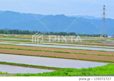 当間高原の麓の棚田 新緑 田植え時 新潟県十日町市 当間高原の麓の棚田 新緑 田植え時 新潟県十日町市 139372727