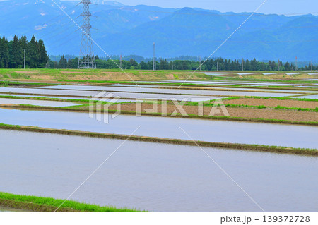 当間高原の麓の棚田 新緑 田植え時 新潟県十日町市 当間高原の麓の棚田 新緑 田植え時 新潟県十日町市 139372728