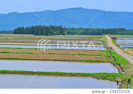 当間高原の麓の棚田　新緑　田植え時　新潟県十日町市　　　 139372729