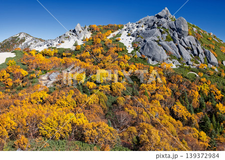 南アルプス・砂払岳から見る紅葉の鳳凰三山・薬師岳 139372984