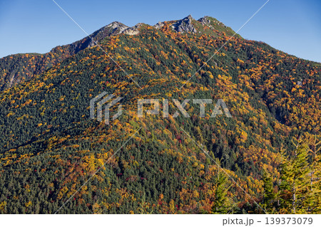 南アルプス・辻山から見る紅葉の鳳凰三山・薬師岳 139373079