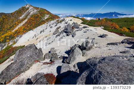 南アルプス・鳳凰三山・薬師岳から見る観音岳と八ヶ岳 139373229