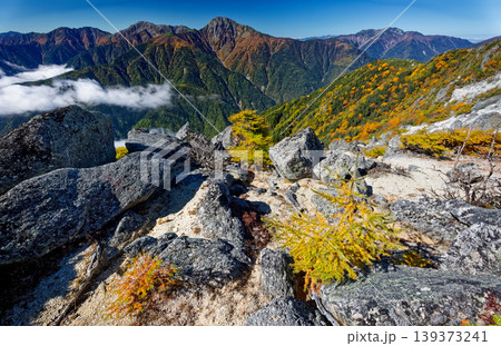 南アルプス・鳳凰三山・観音岳稜線から見る白峰三山と仙丈ヶ岳 139373241