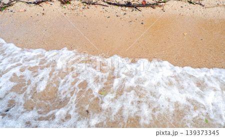 Coastal Shoreline with Sea Foam and Natural Wood Debris 139373345