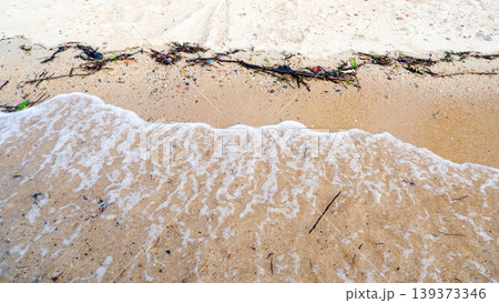 Detailed View of Beach Shore with Sea Foam and Twigs Detailed View of Beach Shore with Sea Foam and Twigs 139373346