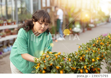 before buying,young girl examines fruits on citrus bush and wants to choose most ripe kumquats before buying,young girl examines fruits on citrus bush and wants to choose most ripe kumquats 139373793