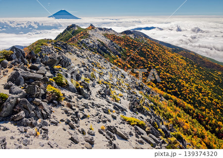 南アルプス・鳳凰三山・観音岳から見る薬師岳と雲上の富士山 南アルプス・鳳凰三山・観音岳から見る薬師岳と雲上の富士山 139374320