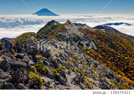 南アルプス・鳳凰三山・観音岳から見る薬師岳と雲上の富士山 南アルプス・鳳凰三山・観音岳から見る薬師岳と雲上の富士山 139374321