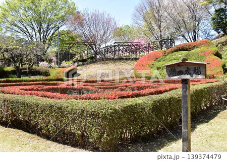 町田薬師池公園四季彩の杜ぼたん園(町田ぼたん園)散策路と満開ツツジと新緑 町田薬師池公園四季彩の杜ぼたん園(町田ぼたん園)散策路と満開ツツジと新緑 139374479