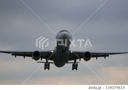飛行機 139374613