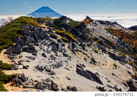 南アルプス・鳳凰三山・観音岳稜線から見る薬師岳と富士山 南アルプス・鳳凰三山・観音岳稜線から見る薬師岳と富士山 139374731