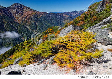 南アルプス・鳳凰三山・観音岳稜線から見る北岳と仙丈ヶ岳 139374733