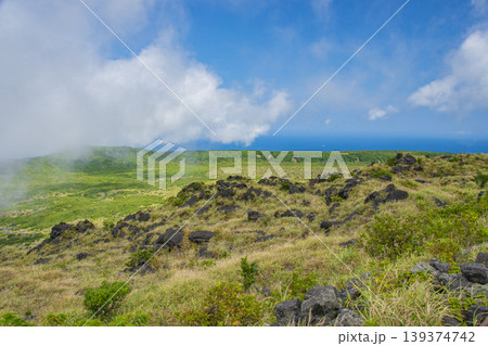 伊豆大島の旅行風景と大自然 139374742
