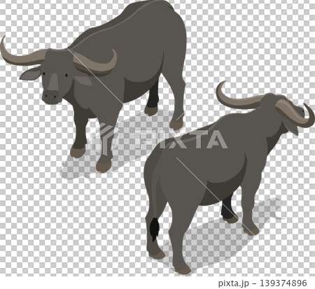Isometric livestock buffalo stock illustration Isometric livestock buffalo stock illustration 139374896