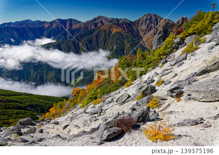 南アルプス・鳳凰三山・観音岳稜線から見る白峰三山 139375196