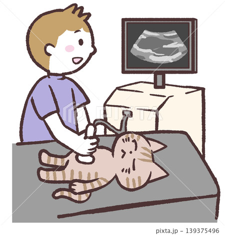 猫のエコー検査のイラスト 139375496