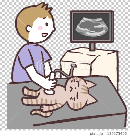 猫のエコー検査のイラスト 139375496