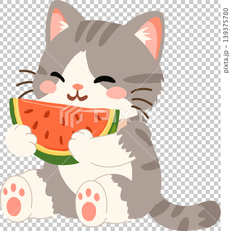Cute gray kitten eating watermelon summer fruit for seasonal summer Cute gray kitten eating watermelon summer fruit for seasonal summer 139375780