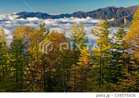 南アルプス・鳳凰三山・辻山から見る雲海と笊ヶ岳・荒川岳 南アルプス・鳳凰三山・辻山から見る雲海と笊ヶ岳・荒川岳 139375816