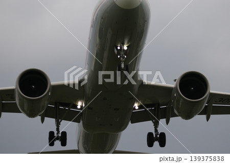 着陸 139375838
