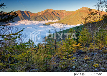 南アルプス・鳳凰三山・杖立峠から見る朝の白峰三山 南アルプス・鳳凰三山・杖立峠から見る朝の白峰三山 139375846