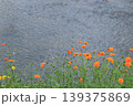 秋の気配 139375869
