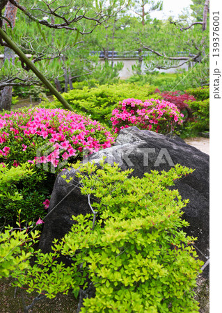 春の公園の庭園風景 春の公園の庭園風景 139376001
